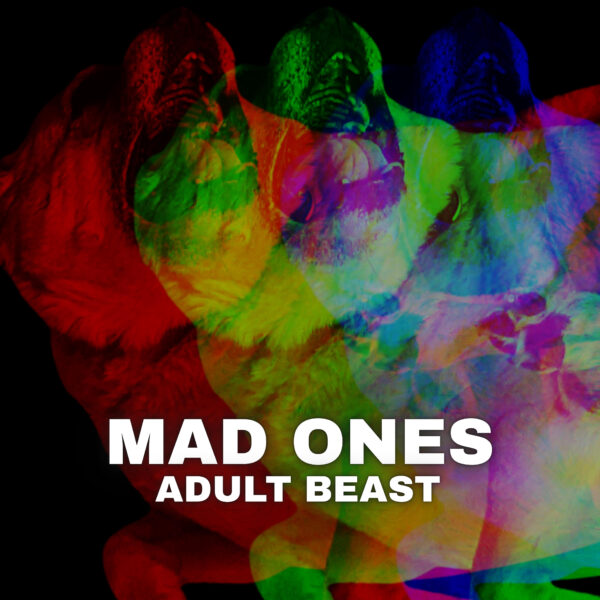Adult Beast